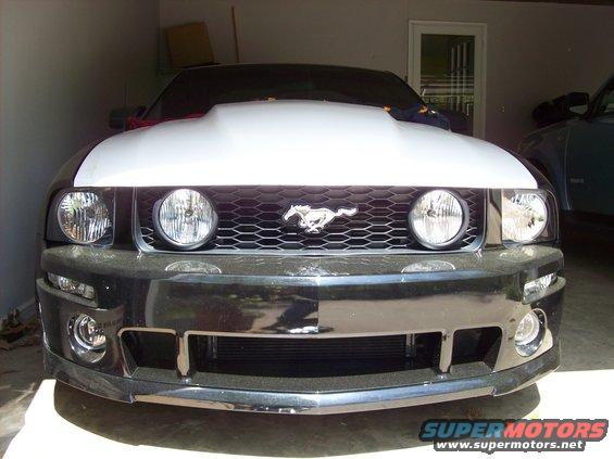 Front view of a Ford Mustang with a white hood scoop. It has a honeycomb grille with a running horse emblem