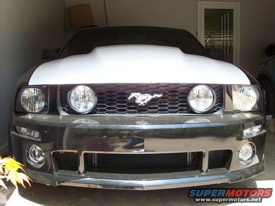 Ford Mustang front with aftermarket hood, honeycomb grille, and running horse emblem