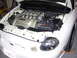 1995 Ford Taurus - The engine bay of a white Ford Taurus SHO, its distinctive V8 engine cover and intake system.