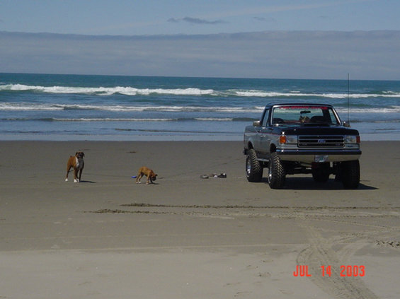 beach-trip-71303-to-71403-111.jpg Truck & doggies
