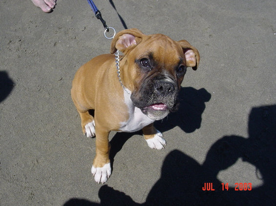 beach-trip-71303-to-71403-112.jpg Sandy smile