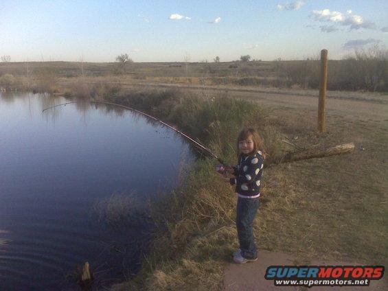 img00093.jpg