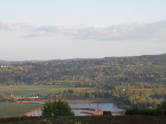 dscn0099.jpg