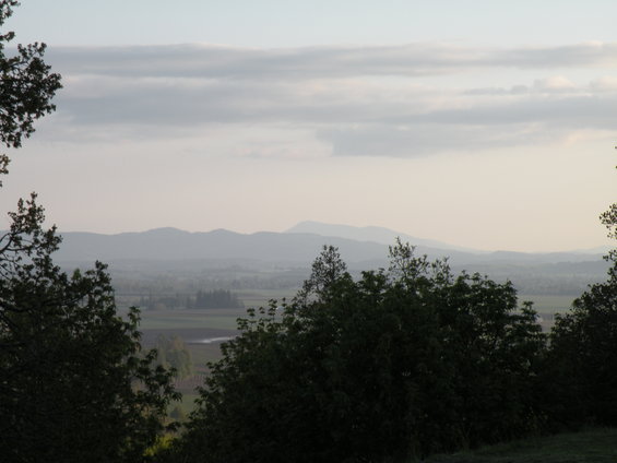 dscn0105.jpg