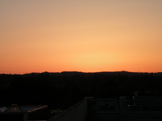 dscn0148.jpg