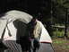 1979 Ford Bronco - A man stands in front of a large tent at a wooded campsite.