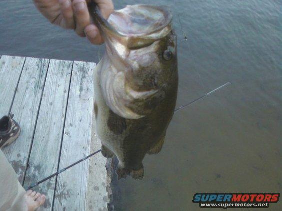 Large fish held by a hand over a wooden dock, with water in the background. Supermotors.net logo in lower right