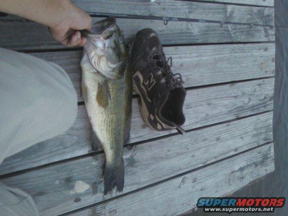 Person holding a large bass next to a shoe on a wooden dock