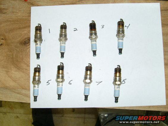 Eight spark plugs laid out on paper, numbered 1 through 8