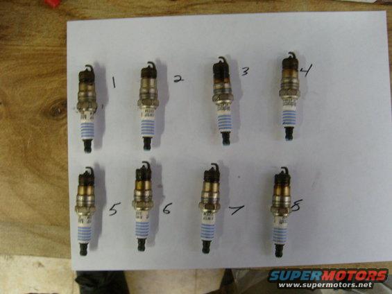 Eight spark plugs laid out on paper, numbered 1 through 7, with one plug numbered 5 again