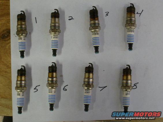 Eight spark plugs laid out on a white surface, numbered 1 through 8. Some show signs of wear and fouling