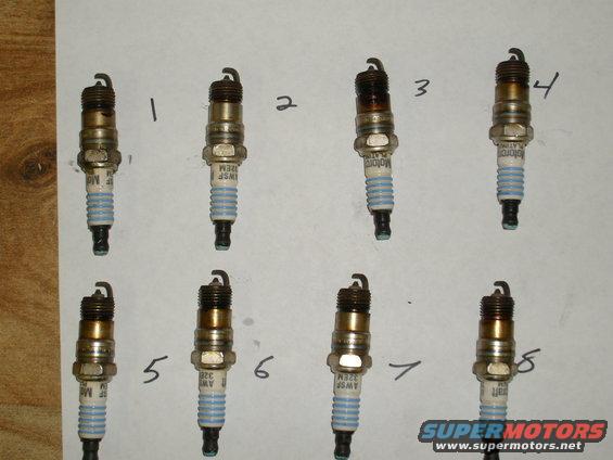 Eight spark plugs numbered 1-8, some showing wear