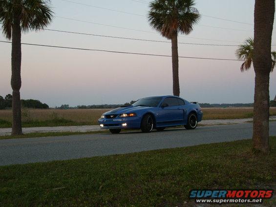 Blue Ford Mustang parked on the side of a road with palm trees