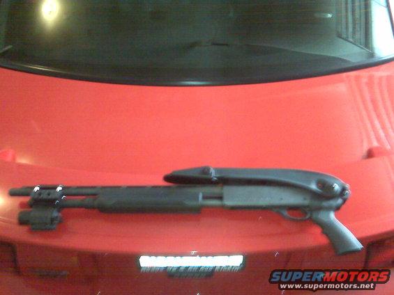 Shotgun on red 2004 Ford Mustang hood