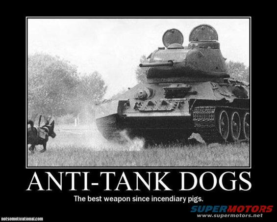 Tank with anti-tank dogs meme