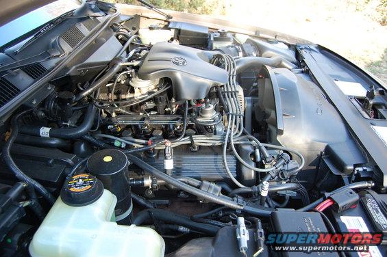 Engine bay with V8 engine components and Supermotors.net logo