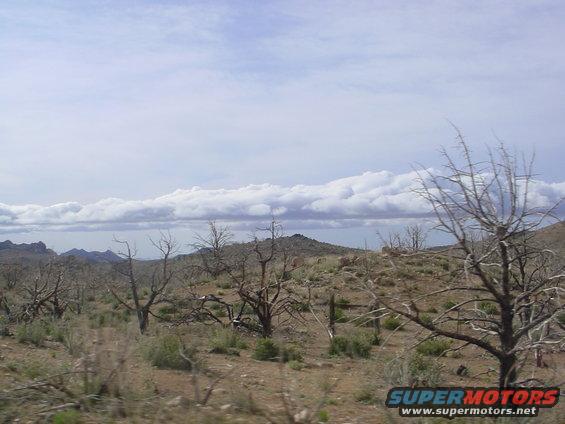 Desert landscape with dry brush, dead trees, and mountains under a cloudy sky