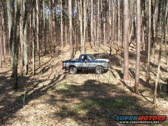 Two-tone blue and silver Ford Bronco parked on a wooded trail