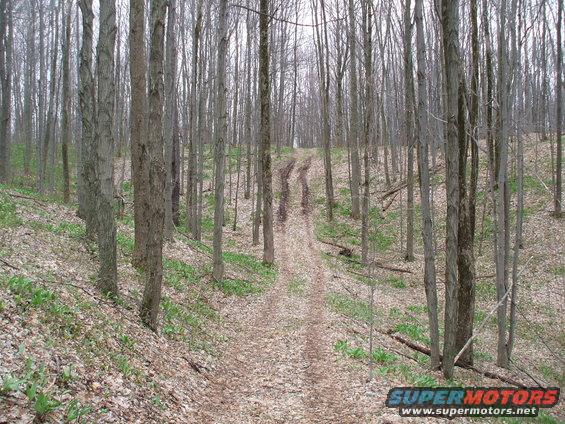 Dirt road winding through a forest with tire tracks