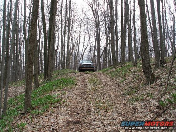 1990 Ford Bronco driving up a dirt road through a forest