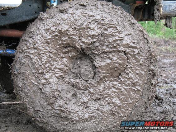 soggy-bottoms-5.2.09-033.jpg smoothie