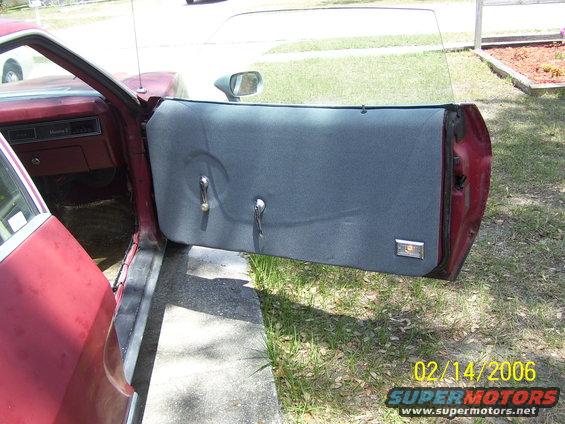 Custom door pannel with working lights
  

