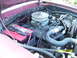 1975 Ford Mustang II - The engine bay shows a 302 V8 engine, a prominent detail for any car enthusiast.