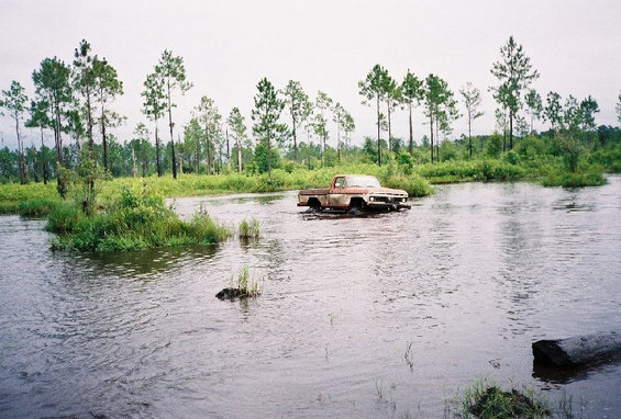 lakeromp7.jpg Romp around the lake 5