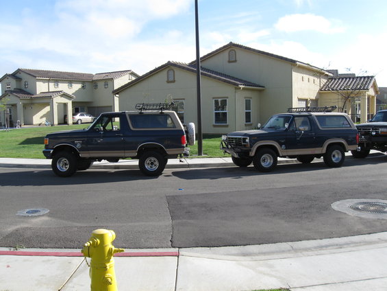 Two dark blue 1986 Ford Broncos with tan trim parked on street, one in front of the other