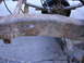 1994 Ford F-250 - Close-up view of a heavily rusted truck frame, showing leaf springs and a shock absorber.
