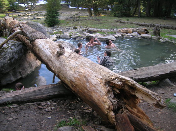 People relax in a rocky, tree-lined hot spring with a large fallen log in the foreground