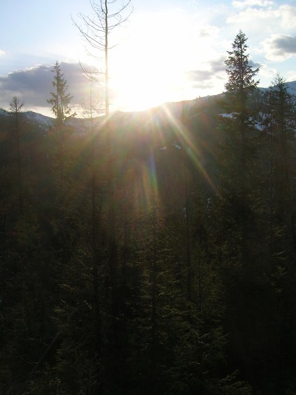 Sun setting behind trees and mountains, with lens flare
