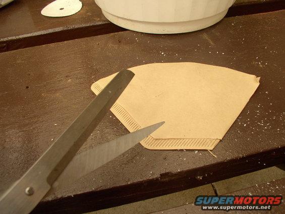 img_0005.jpg Slice the #2 coffee filters in half to help retain the small plants until their root system takes hold.