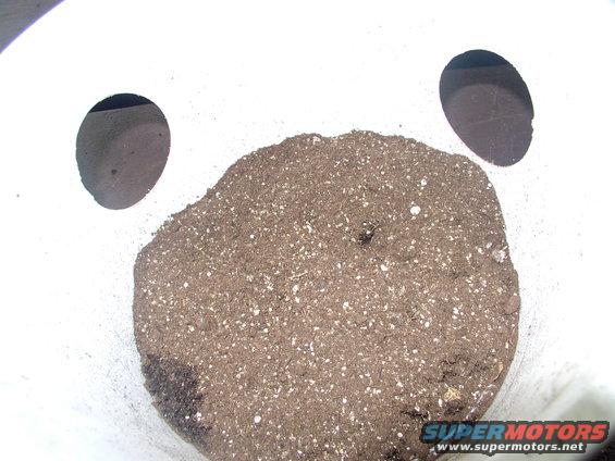 img_0011.jpg I use a layers of of peat mossed Promix, Potting soil, Promix, Potting soil as I fill. To start just add some until you get near the holes.