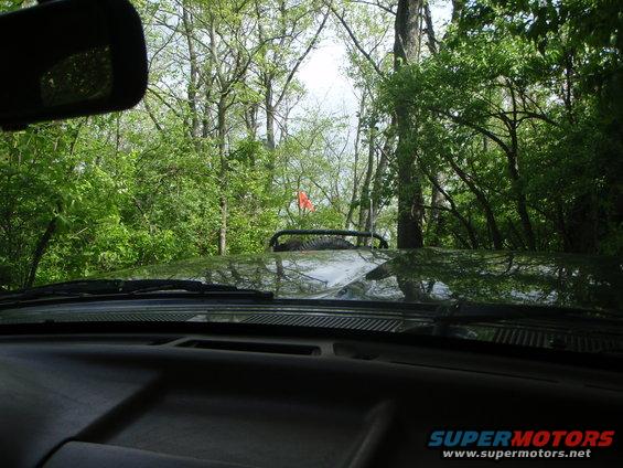 Dark SUV hood reflecting trees, with an orange flag visible above the windshield