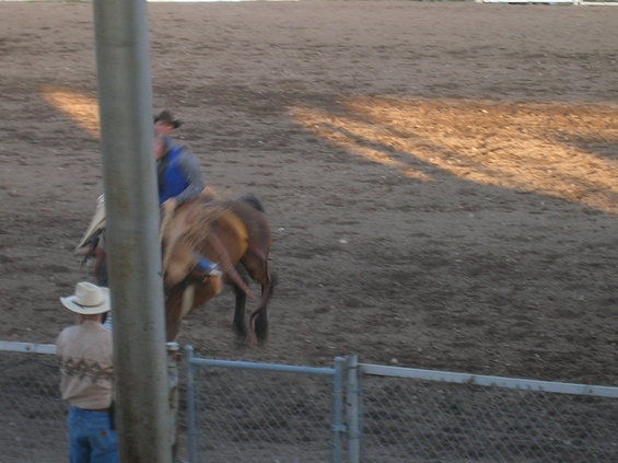 Rodeo scene with bull rider and spectator in foreground