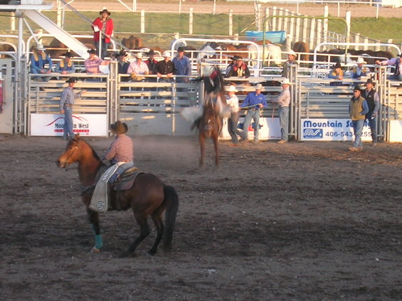 Rodeo scene with bucking horse and rider in arena, spectators in stands