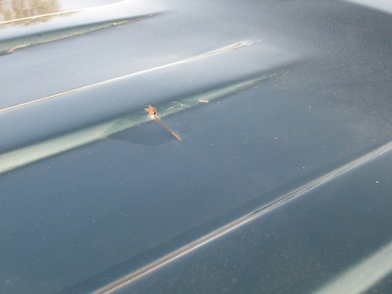 Green vehicle hood with a small rust spot and two prominent body lines