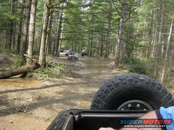 Several vehicles driving on a muddy forest road, with a spare tire visible in the foreground