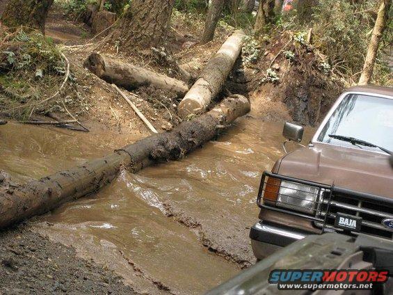 Brown Ford Bronco with a Baja badge driving through mud and logs