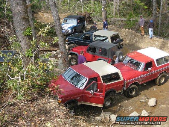 Several off-road vehicles, including a red Bronco, are navigating a dirt trail with trees on either side