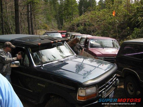 Dark green 1992 Ford Bronco with a man petting a dog in the driver's seat