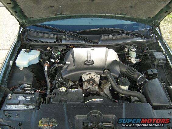 img_0383.jpg *not detailed yet*