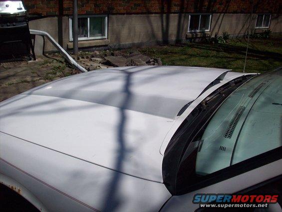 White car hood with a raised center section and a red pinstripe along the fender