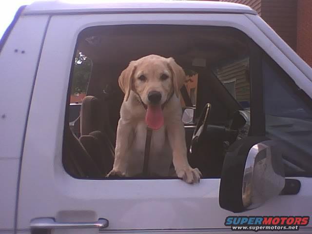 1992 Ford Bronco photo