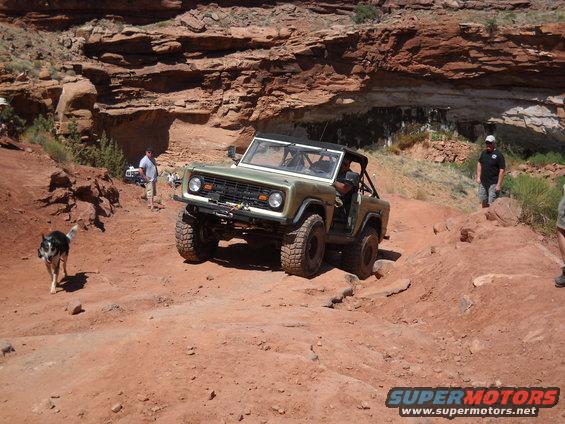 Green first-generation Ford Bronco navigating a rocky off-road trail with a dog running ahead