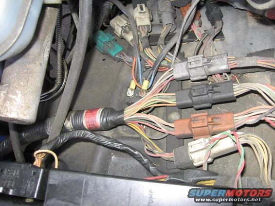 Engine wiring harness with multiple connectors and wires