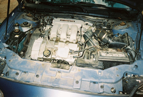 Engine bay with various components visible