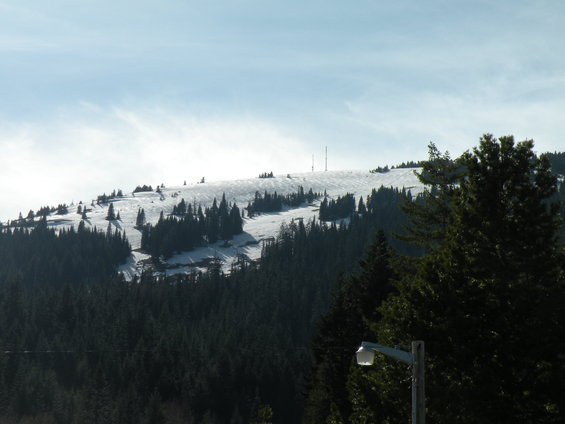 Ski slope with snow and trees, some ski lifts visible