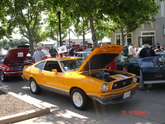 dsc02341.jpg GHMC09